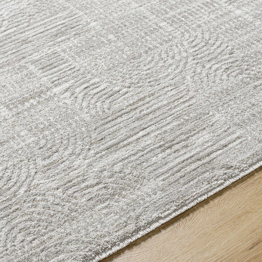 Harva Modern Style Gray Area Rug