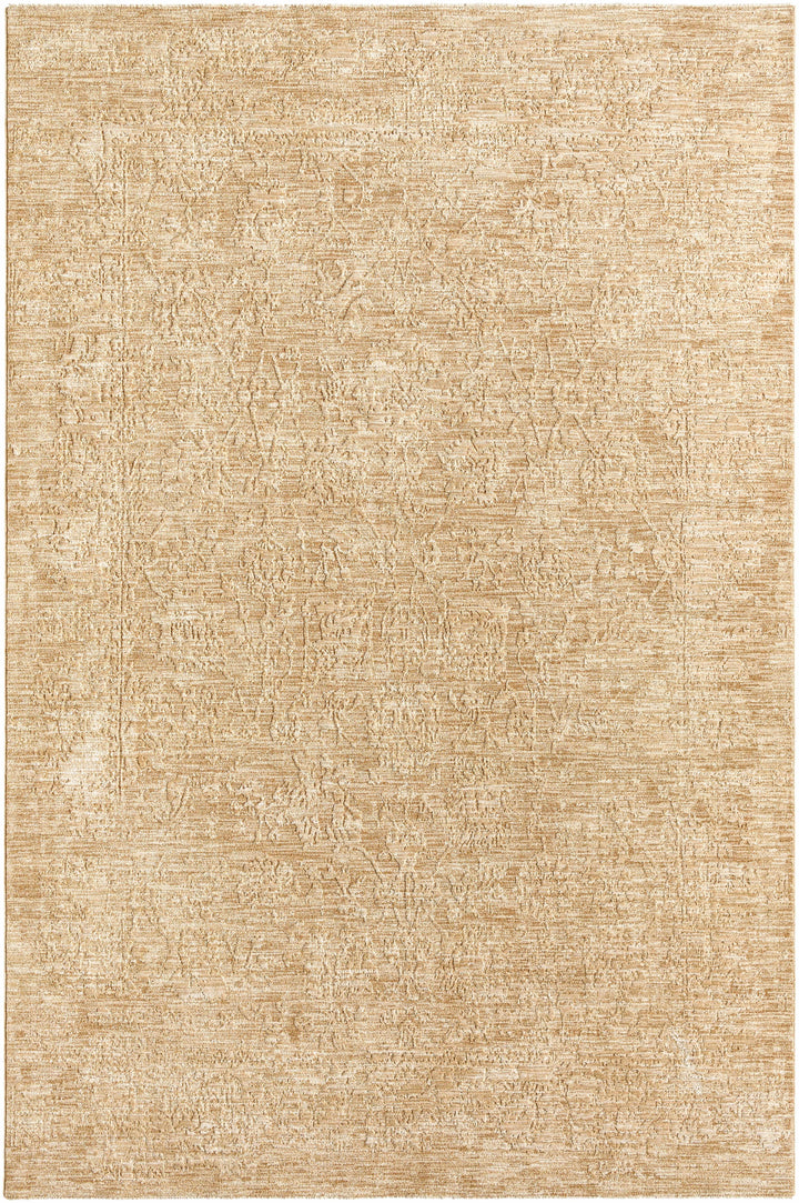 Jenis Beige Traditional Style Machine Woven Rug