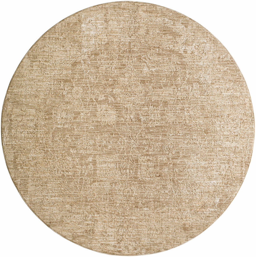Jenis Beige Traditional Style Machine Woven Rug