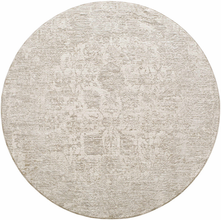 Transitional Style Gray Machine Woven Rug