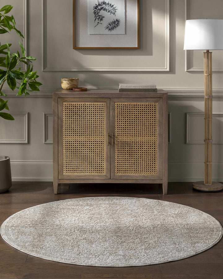 Josie Traditional Style Beige Rug