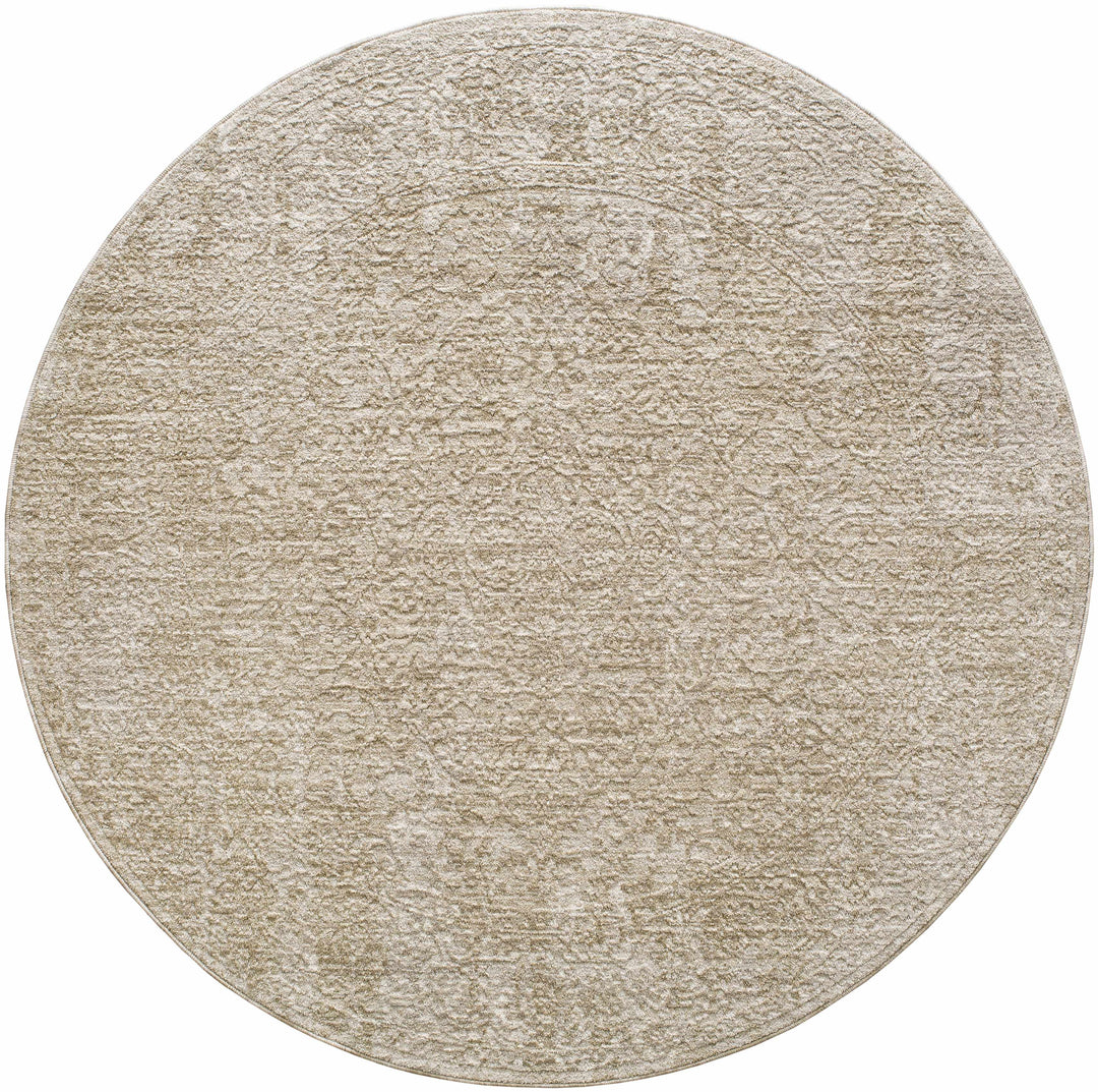 Josie Traditional Style Beige Rug