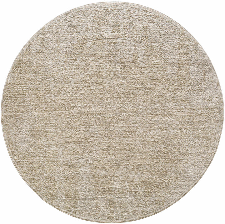 Josie Traditional Style Beige Rug