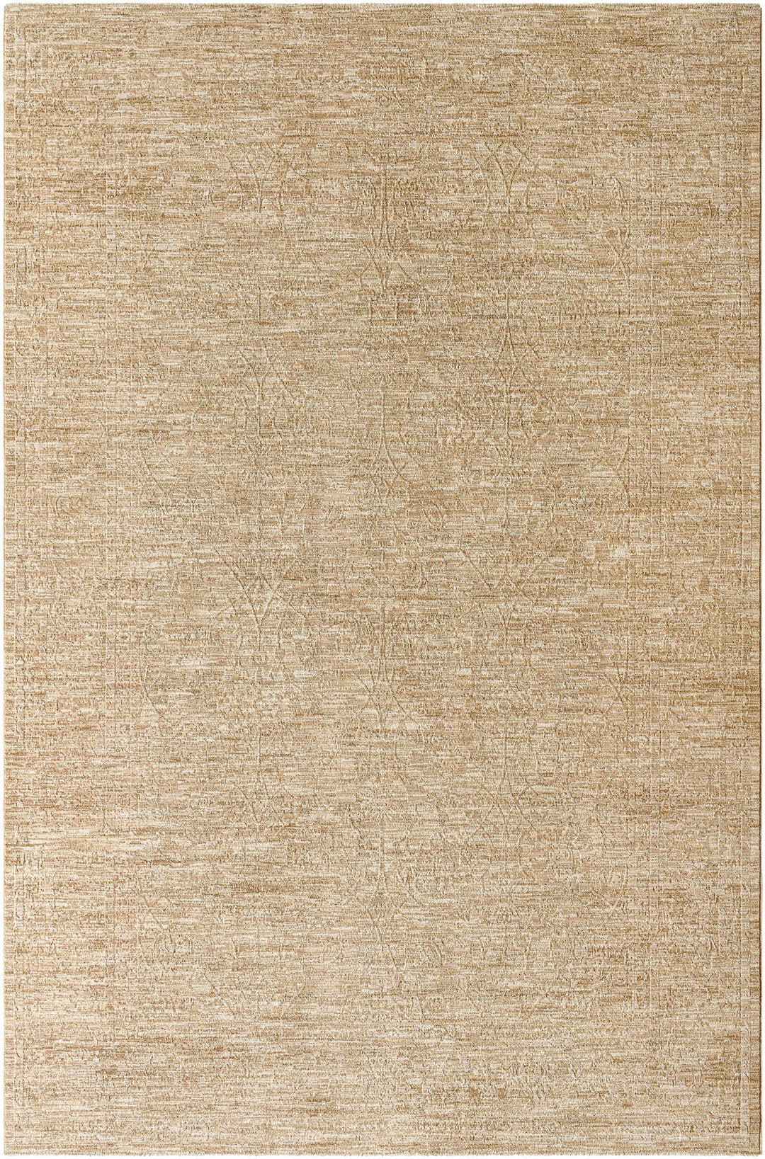 Kyran Tan Contemporary Style Area Rug