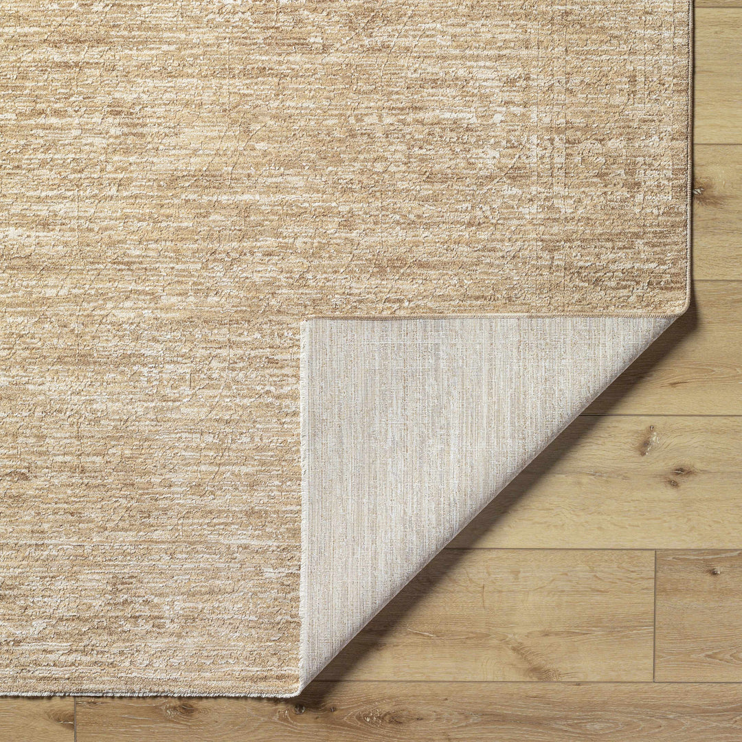 Kyran Tan Contemporary Style Area Rug