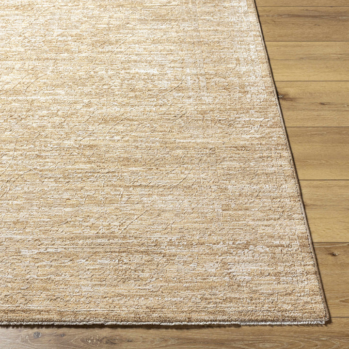 Kyran Tan Contemporary Style Area Rug
