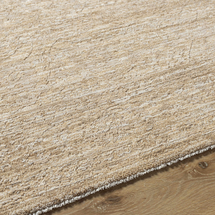 Kyran Tan Contemporary Style Area Rug