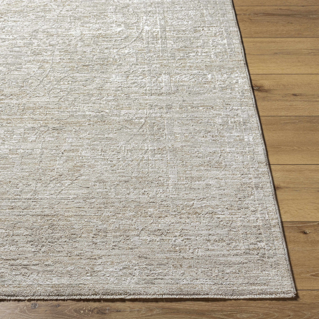 Kyran Beige Traditional Style Area Rug