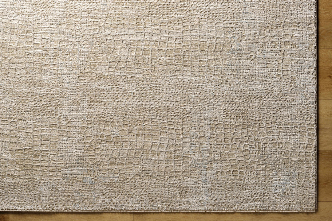 Laina Contemporary Style Beige Rug