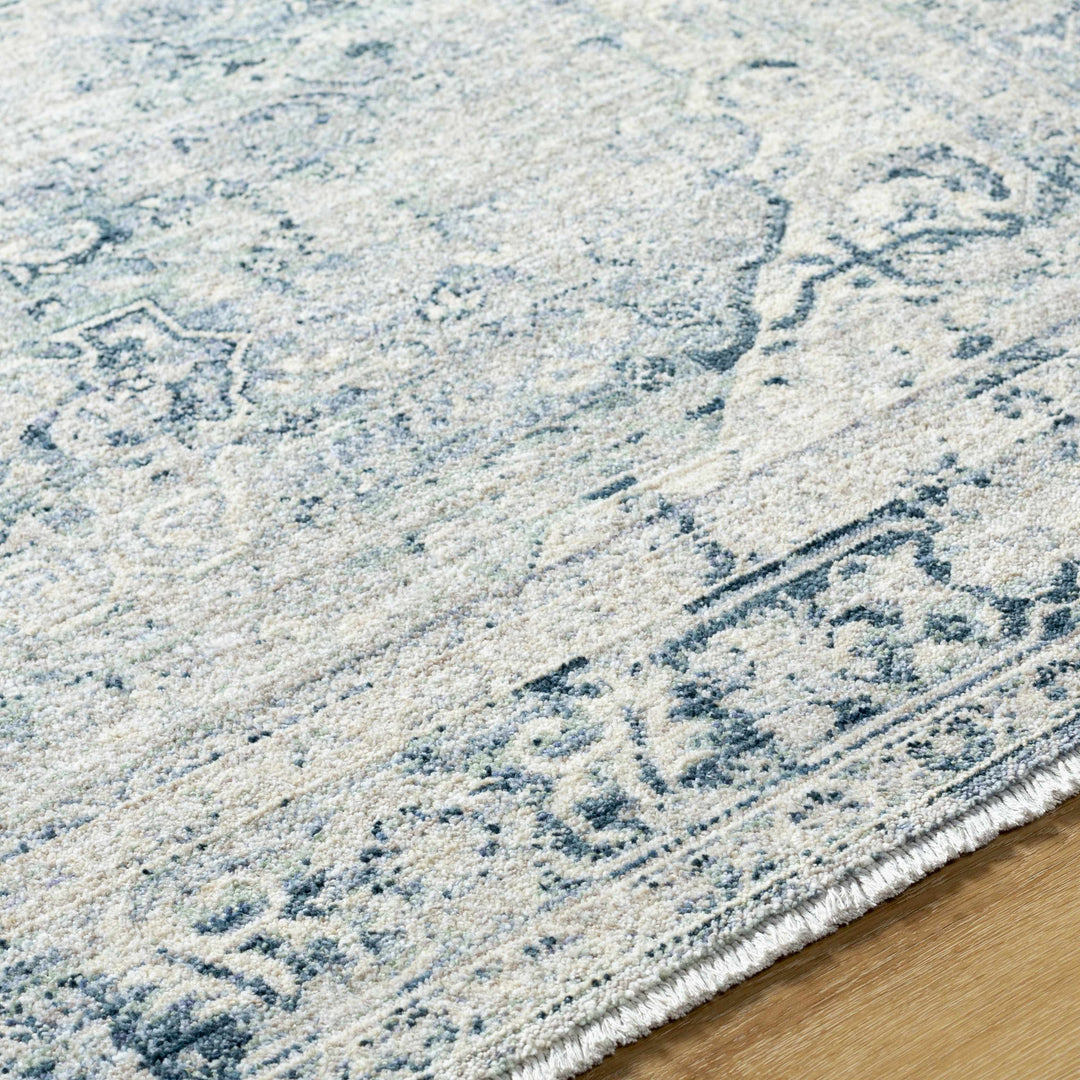 Jemma Traditional Medallion Design Blue And Gray Area Rug