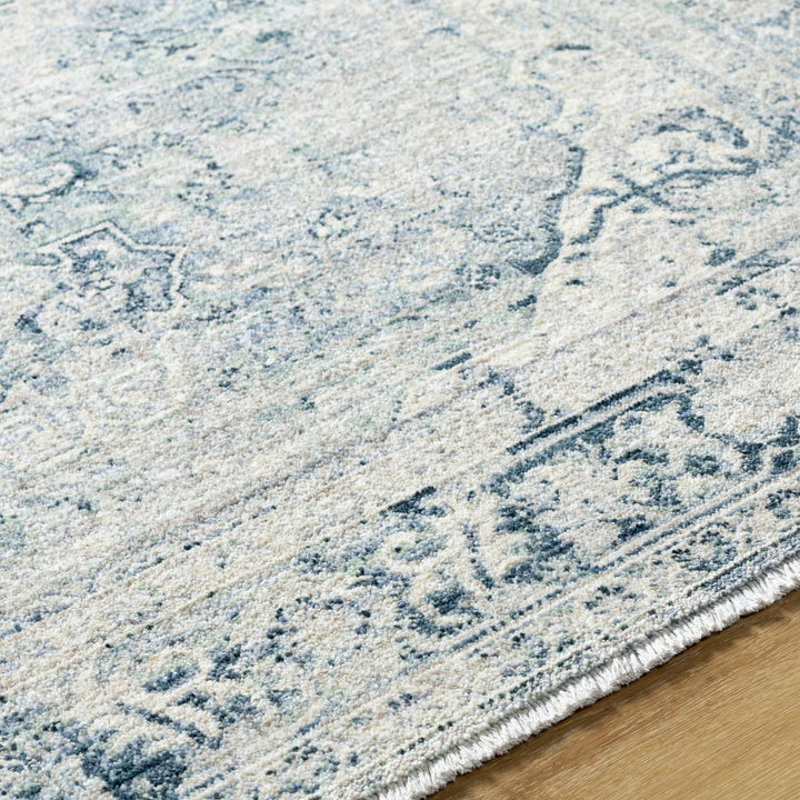 Jemma Traditional Medallion Design Blue And Gray Area Rug