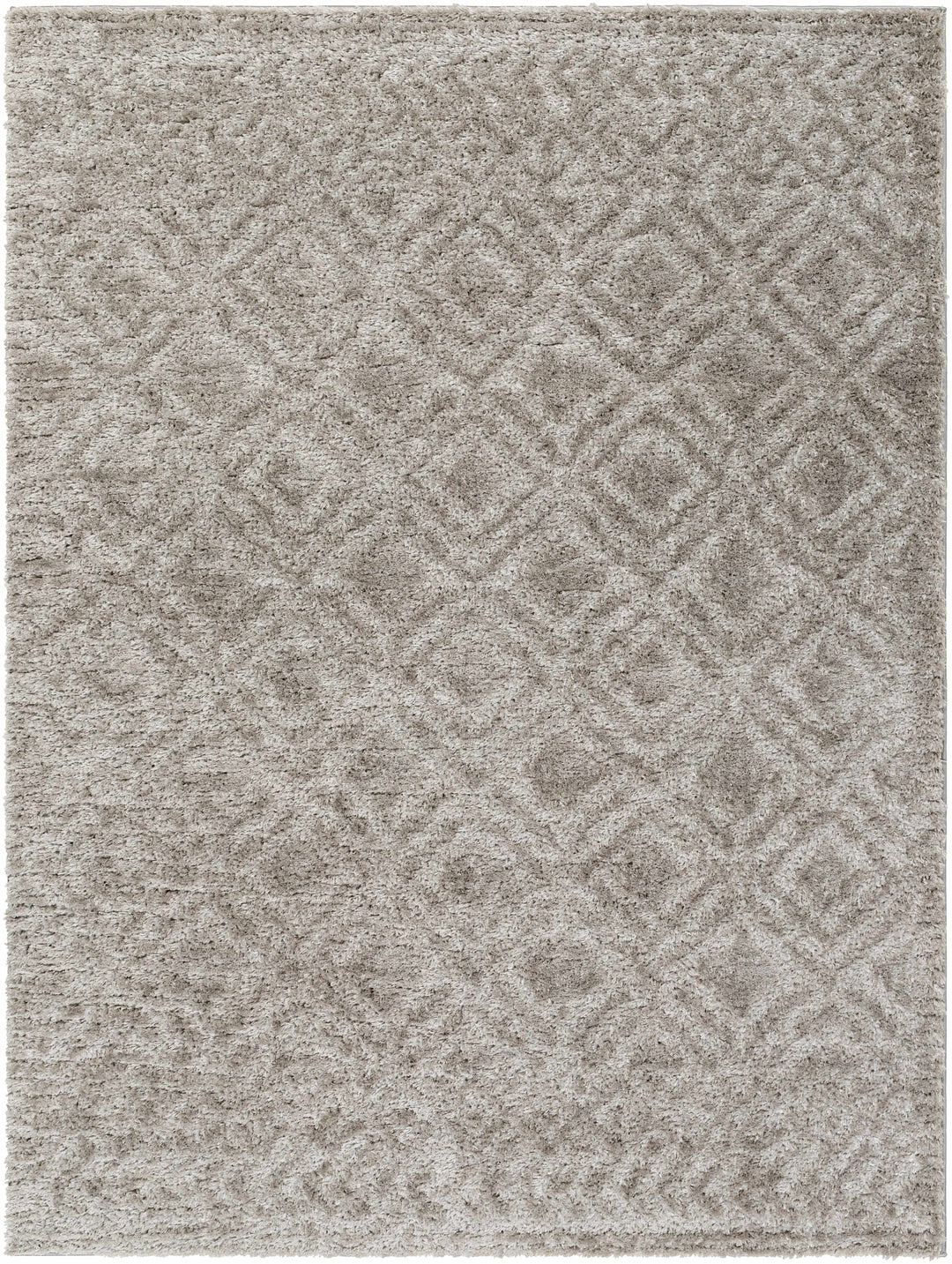 Amnon Contemporary Geometrical Design Gray Area Rug
