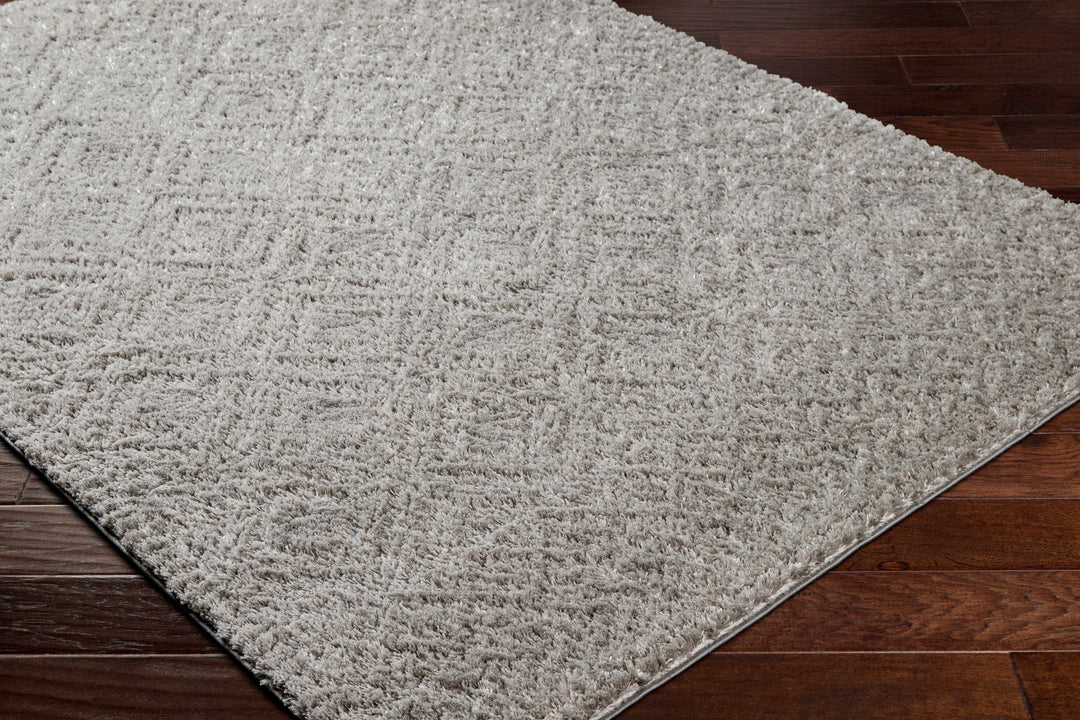 Amnon Contemporary Geometrical Design Gray Area Rug