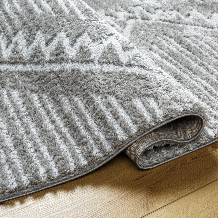 Edsel Gray Contemporary Style Area Rug