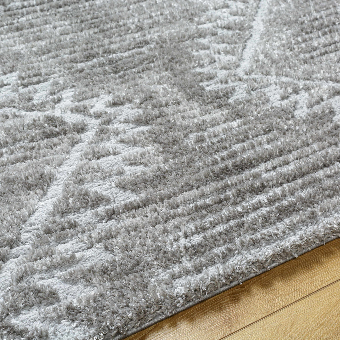 Edsel Gray Contemporary Style Area Rug
