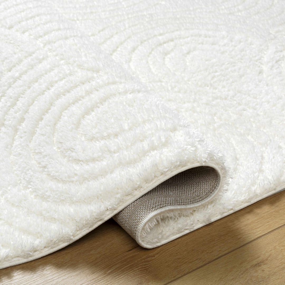Kaoru Contemporary Style Ivory Rug
