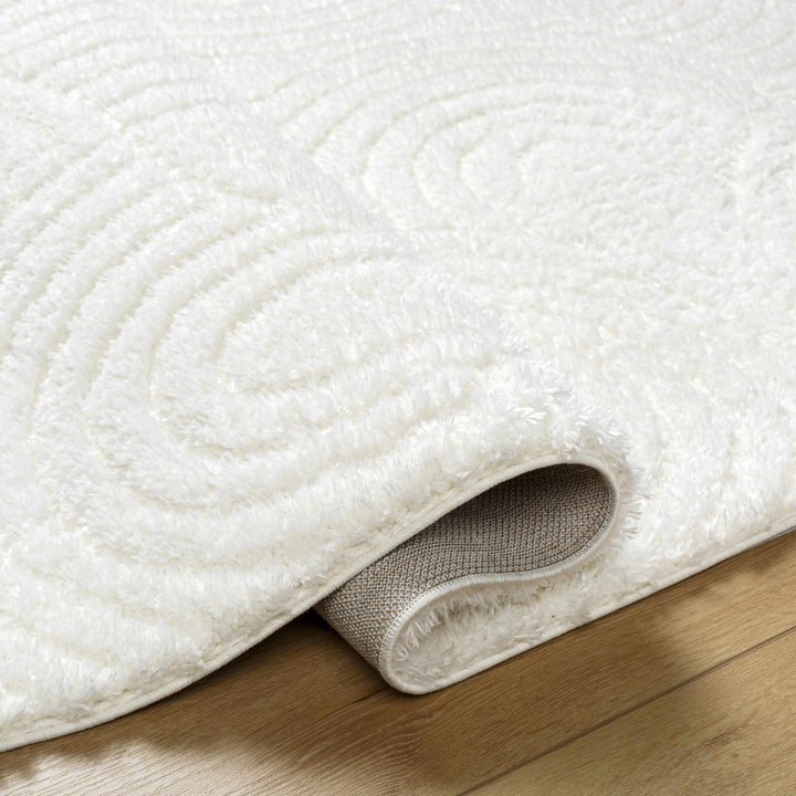 Kaoru Contemporary Style Ivory Rug