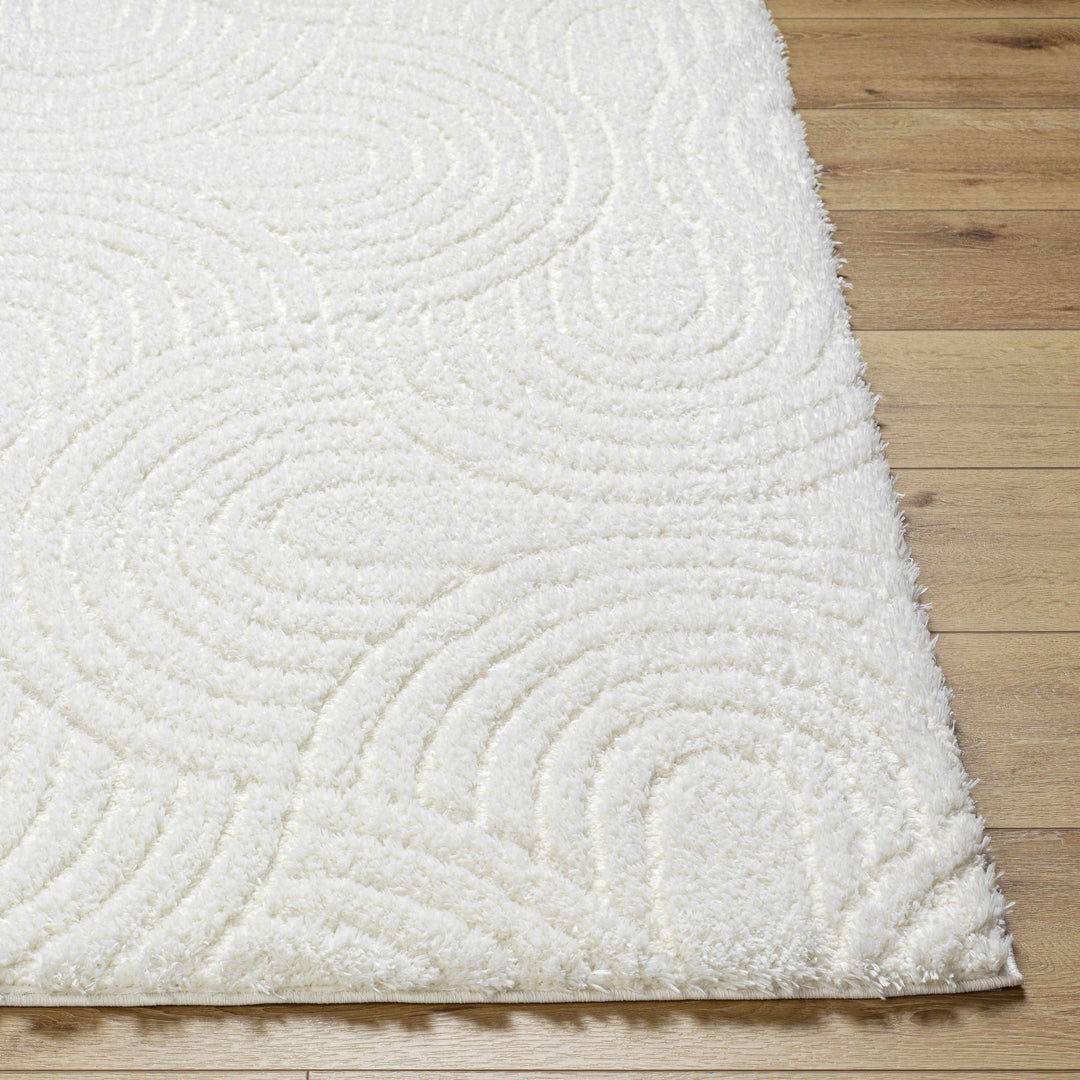 Kaoru Contemporary Style Ivory Rug
