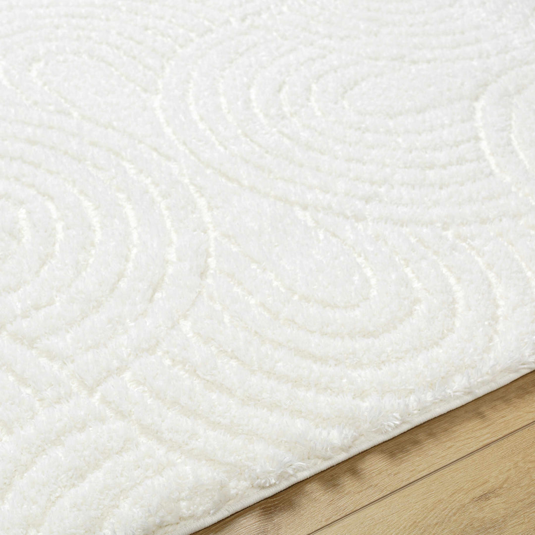 Kaoru Contemporary Style Ivory Rug