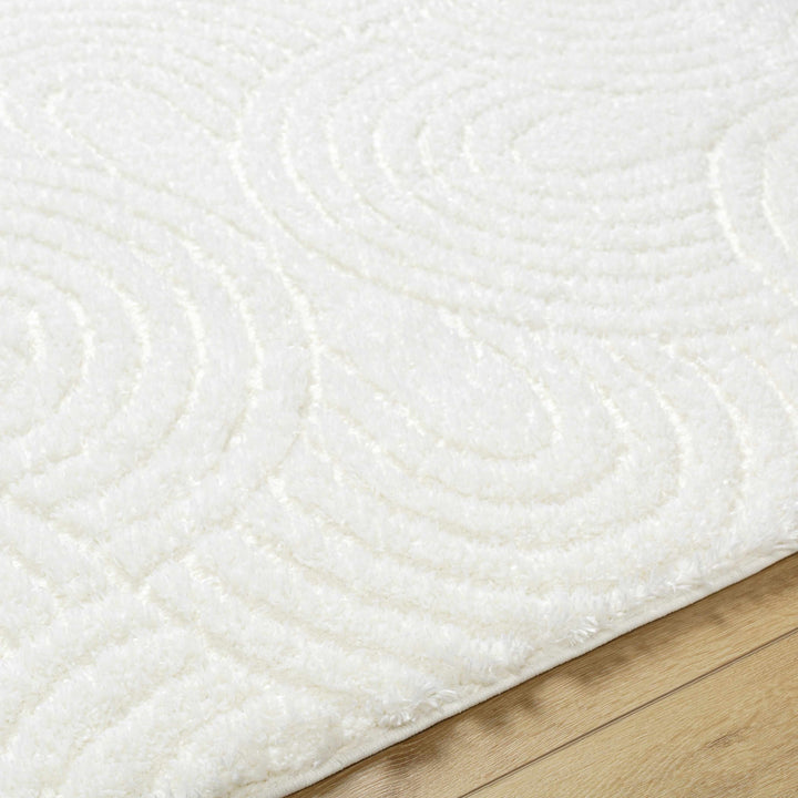 Kaoru Contemporary Style Ivory Rug