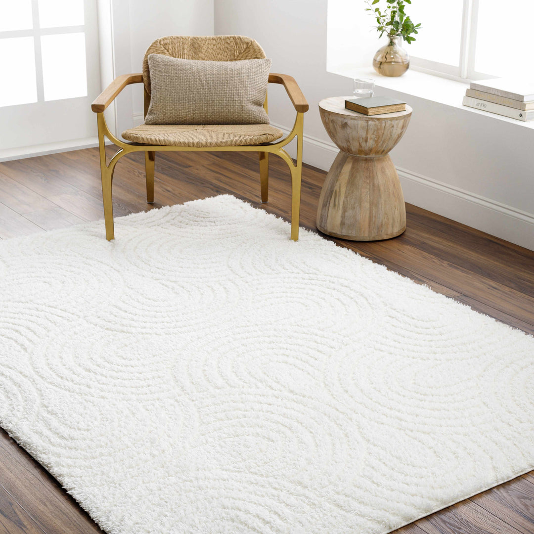 Kaoru Contemporary Style Ivory Rug