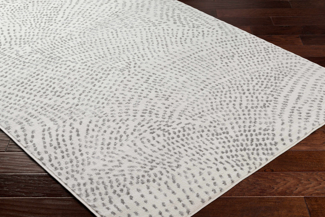 Sina Contemporary Style Beige And Gray Area Rug