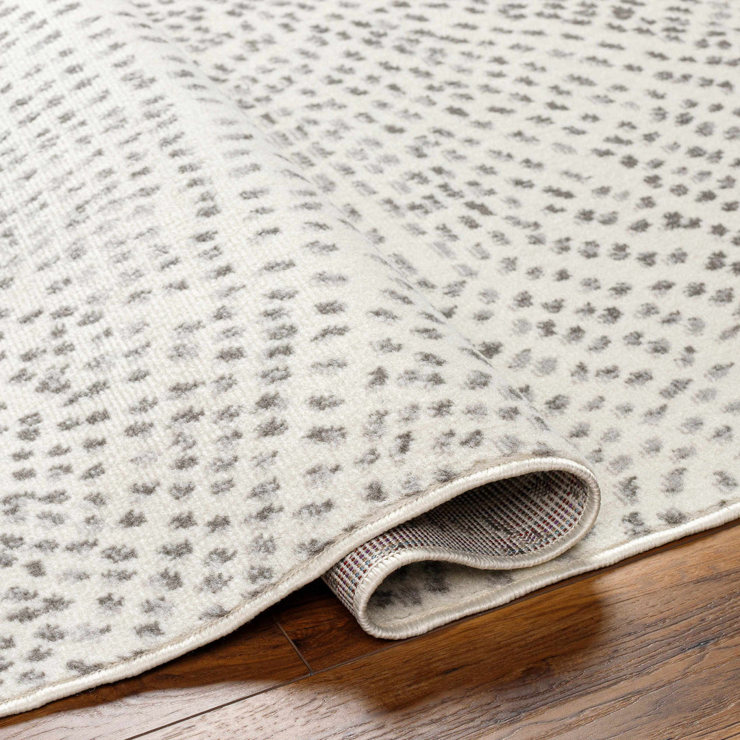 Sina Contemporary Style Beige And Gray Area Rug
