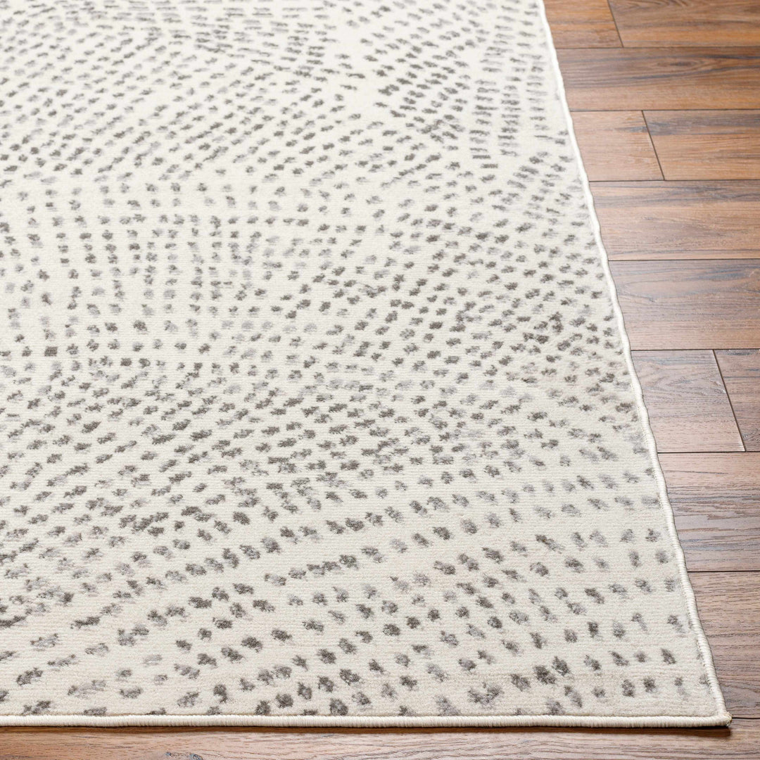 Sina Contemporary Style Beige And Gray Area Rug