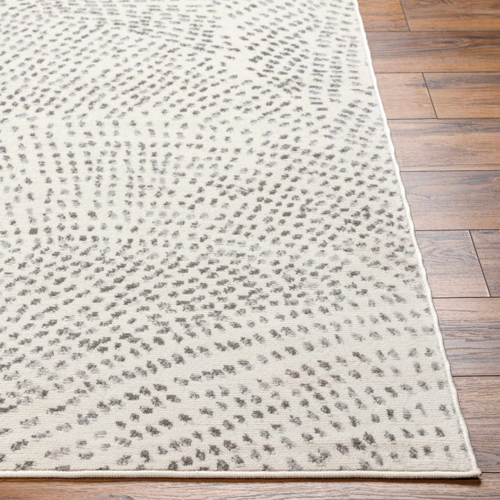 Sina Contemporary Style Beige And Gray Area Rug