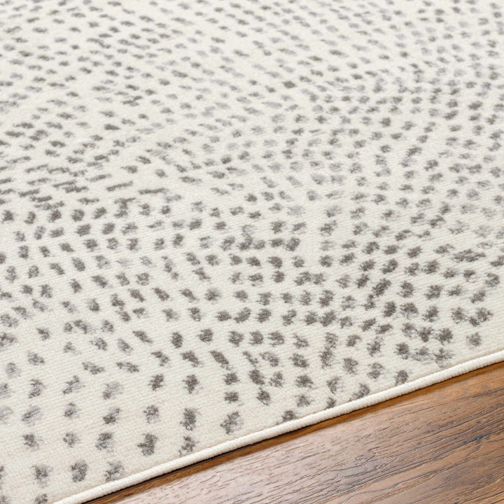 Sina Contemporary Style Beige And Gray Area Rug