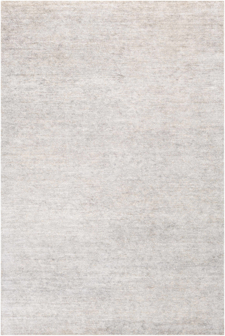 Snover Modern Style Gray Hand Woven Area Rug