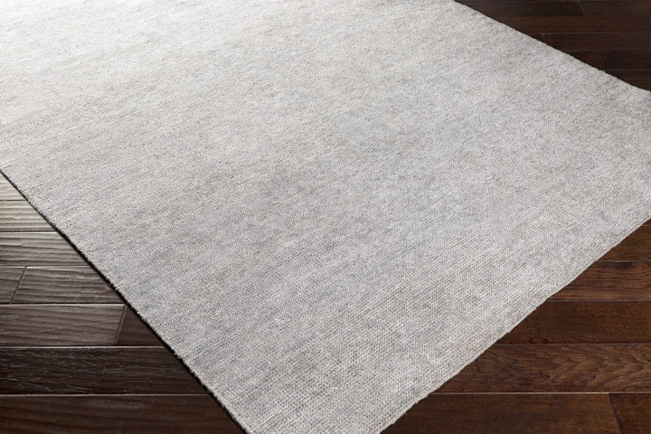 Snover Modern Style Gray Hand Woven Area Rug