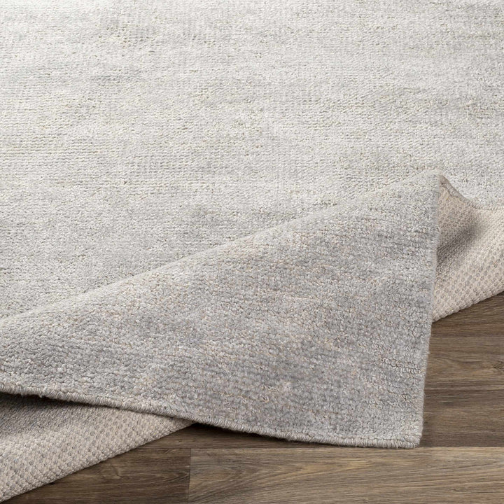 Snover Modern Style Gray Hand Woven Area Rug