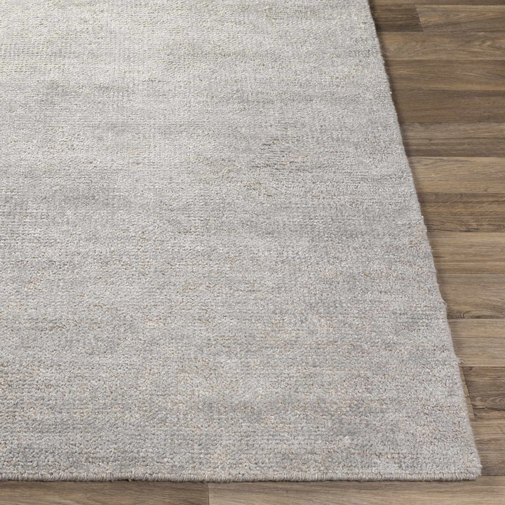 Snover Modern Style Gray Hand Woven Area Rug