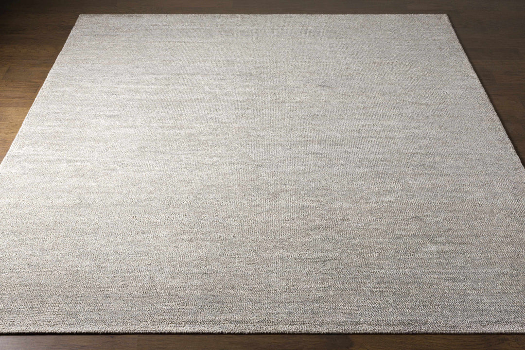 Snover Modern Style Gray Hand Woven Area Rug