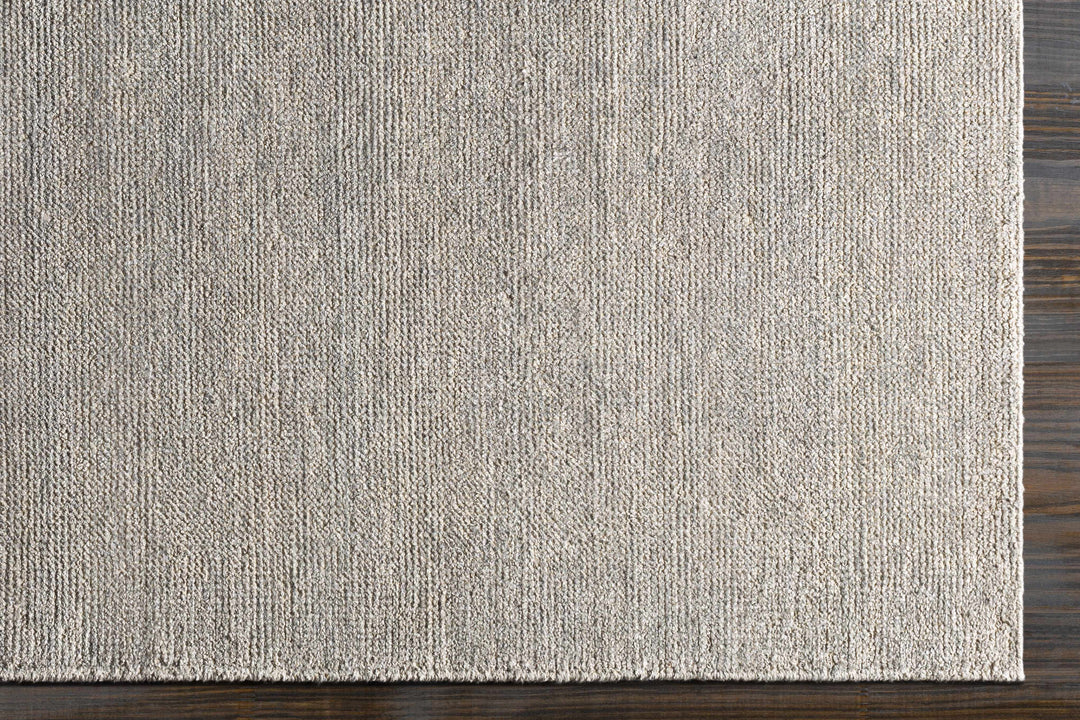 Snover Modern Style Gray Hand Woven Area Rug