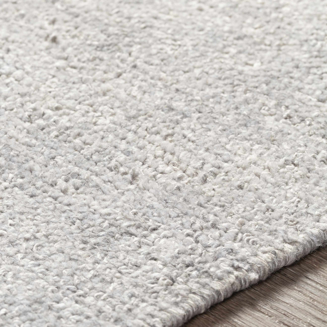 Snover Modern Style Gray Hand Woven Area Rug