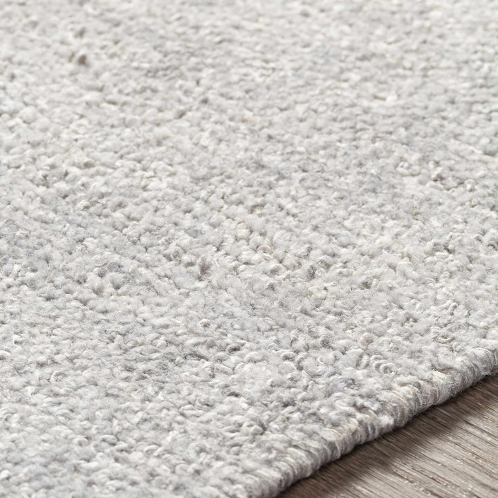 Snover Modern Style Gray Hand Woven Area Rug