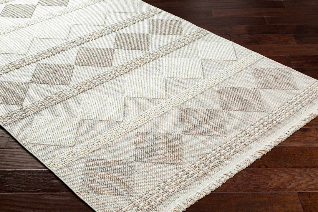 Igone Bohemian Style Beige And Gray Area Rug