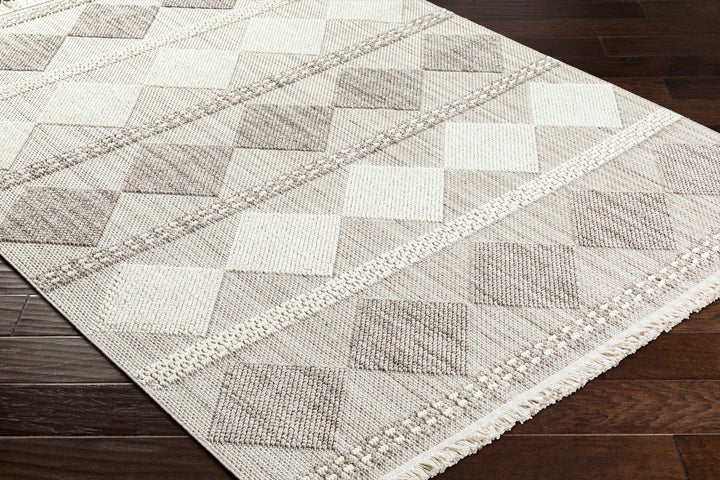 Igone Bohemian Style Beige And Gray Area Rug