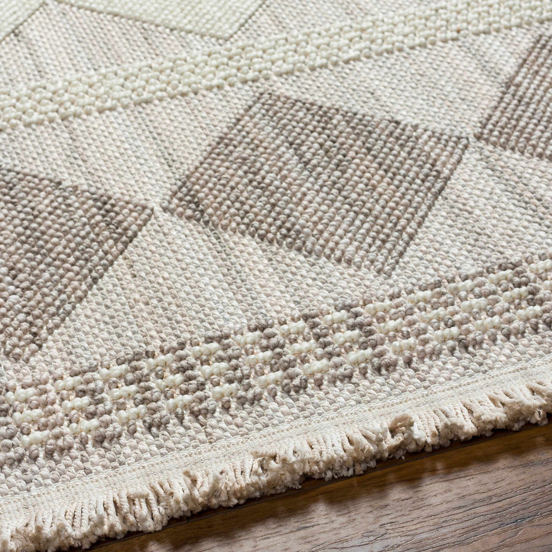 Igone Bohemian Style Beige And Gray Area Rug