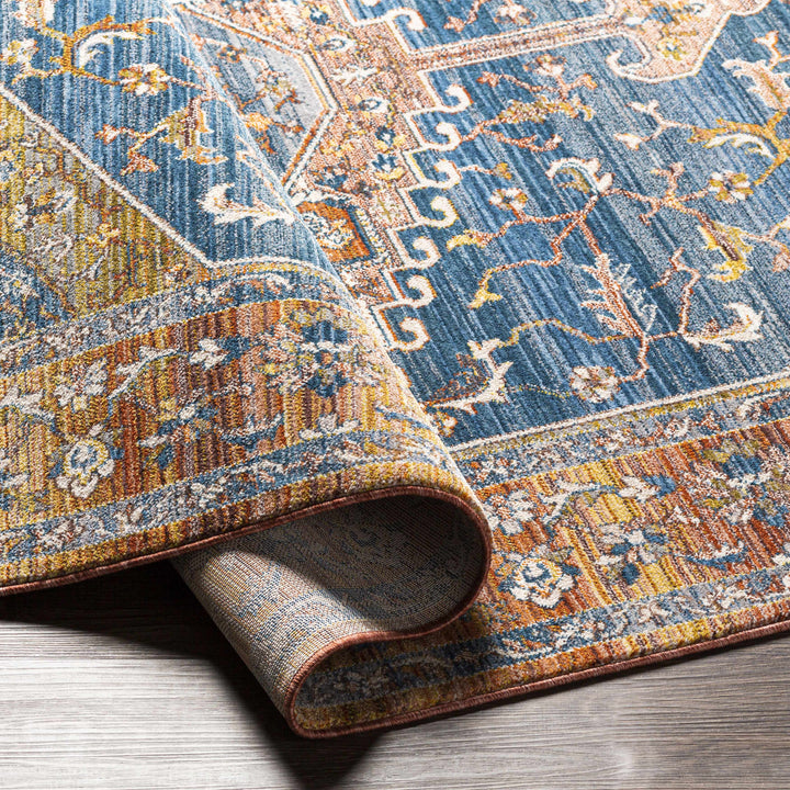 Solana Traditional Style Blue And Rust Area Rug