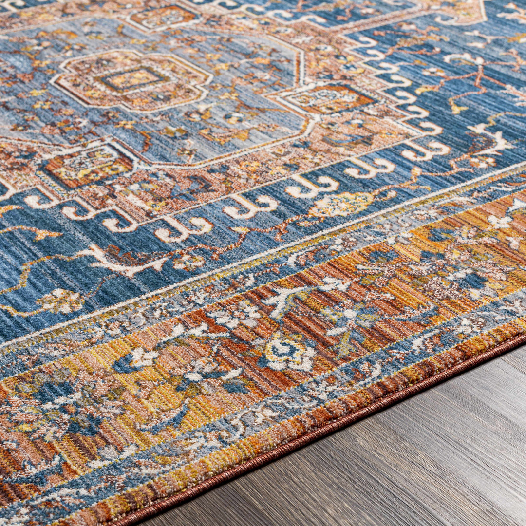 Solana Traditional Style Blue And Rust Area Rug