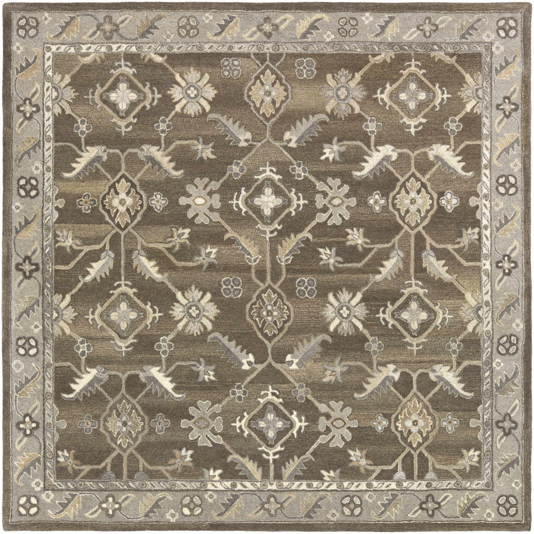 Solen Traditional Oushak Taupe And Beige Area Rug - The Rug Decor