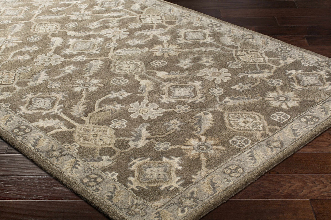 Solen Traditional Oushak Taupe And Beige Area Rug - The Rug Decor
