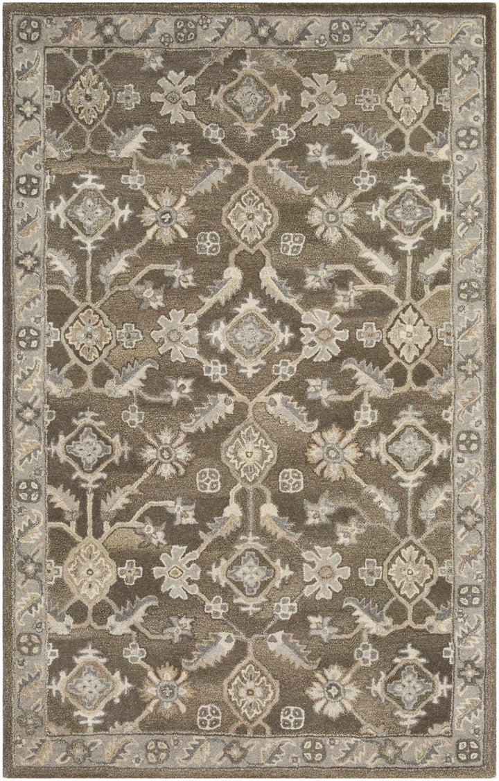 Solen Traditional Oushak Taupe And Beige Area Rug - The Rug Decor