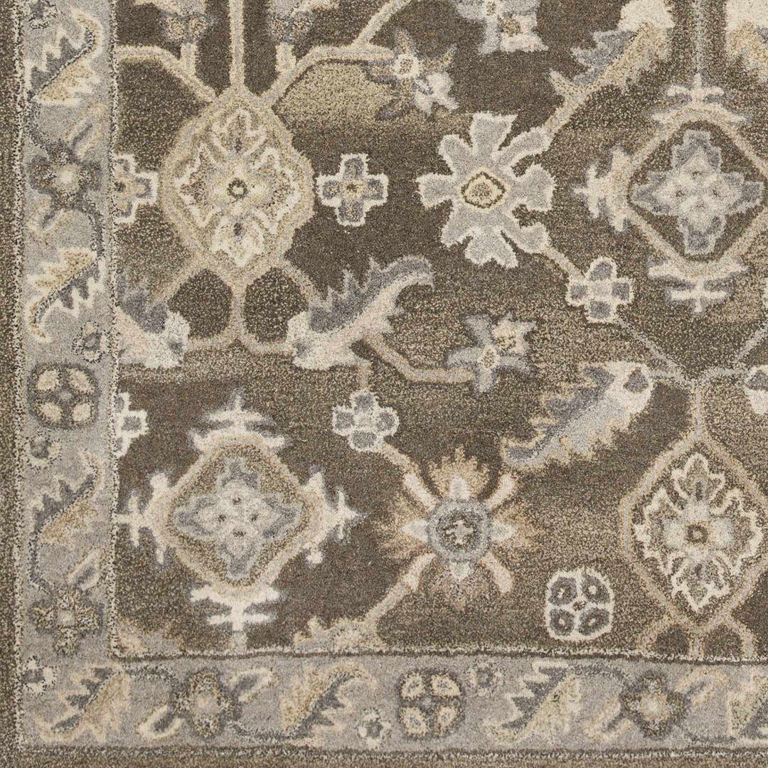 Solen Traditional Oushak Taupe And Beige Area Rug - The Rug Decor