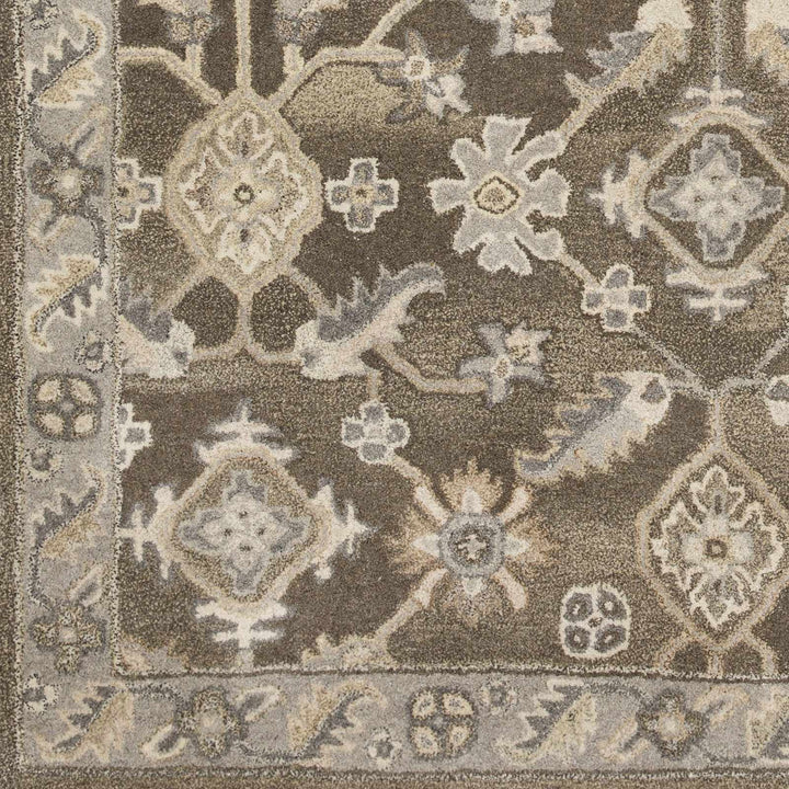 Solen Traditional Oushak Taupe And Beige Area Rug - The Rug Decor