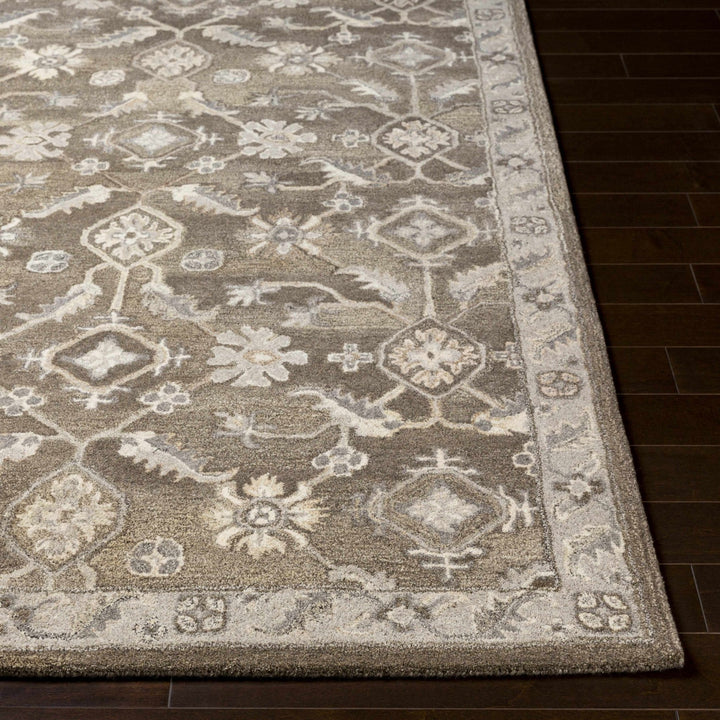 Solen Traditional Oushak Taupe And Beige Area Rug - The Rug Decor
