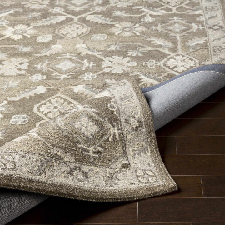 Solen Traditional Oushak Taupe And Beige Area Rug - The Rug Decor